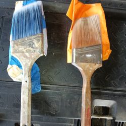 Paint Brushes 
