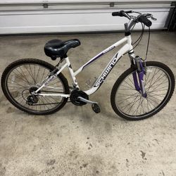 Schwinn Mountain Bike