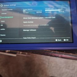 Nintendo Switch Life With 258 GB SD Card