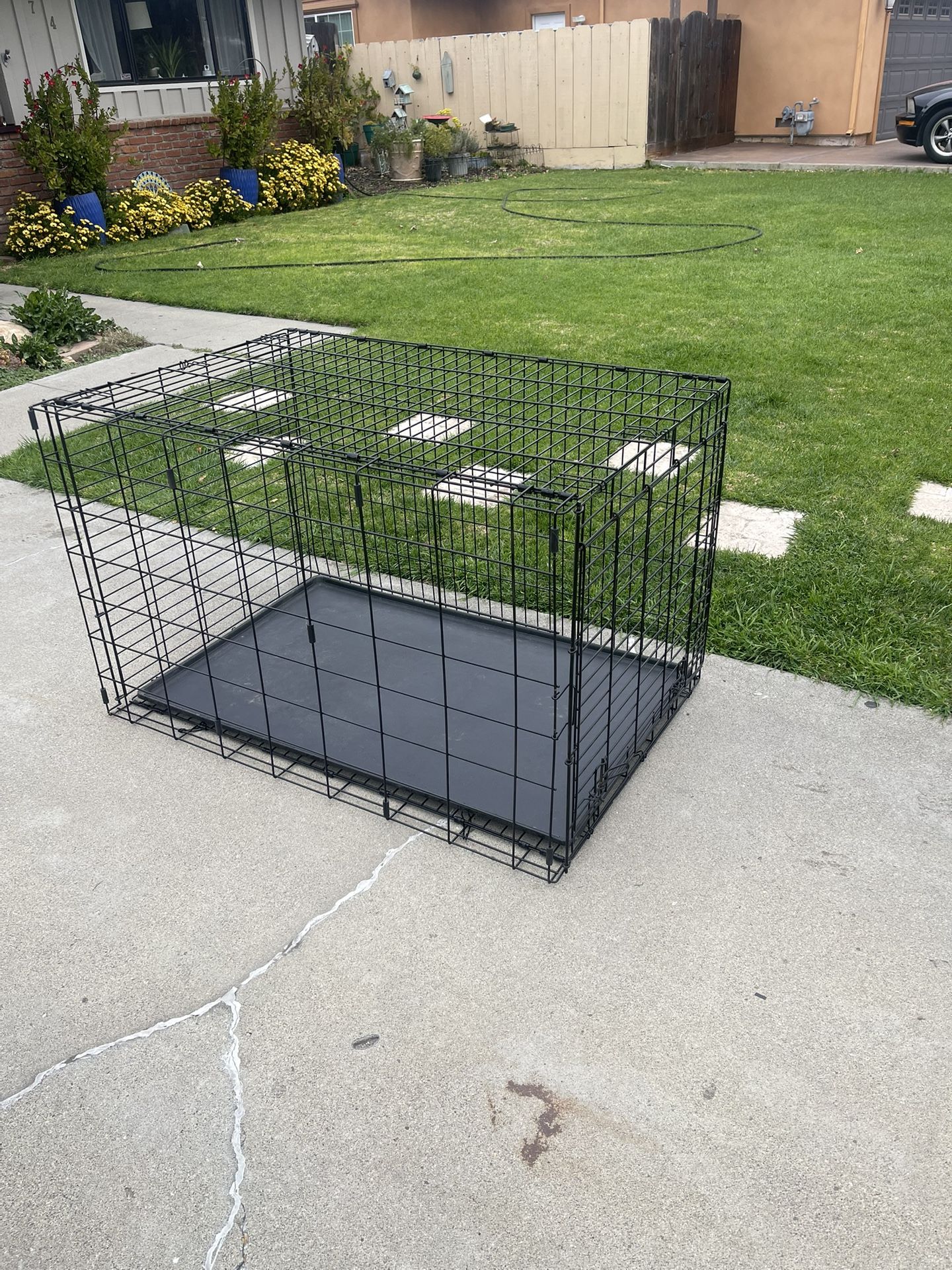 Crate For Large PET