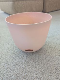 Free Planter Pot