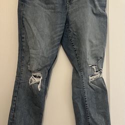 Torrid Jeans