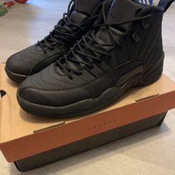 Jordan 12 