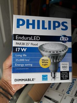 Light bulb / pack of 6