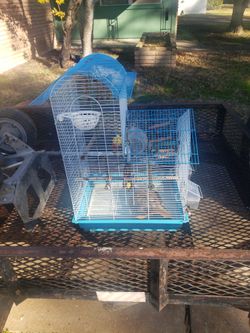 Bird Cage