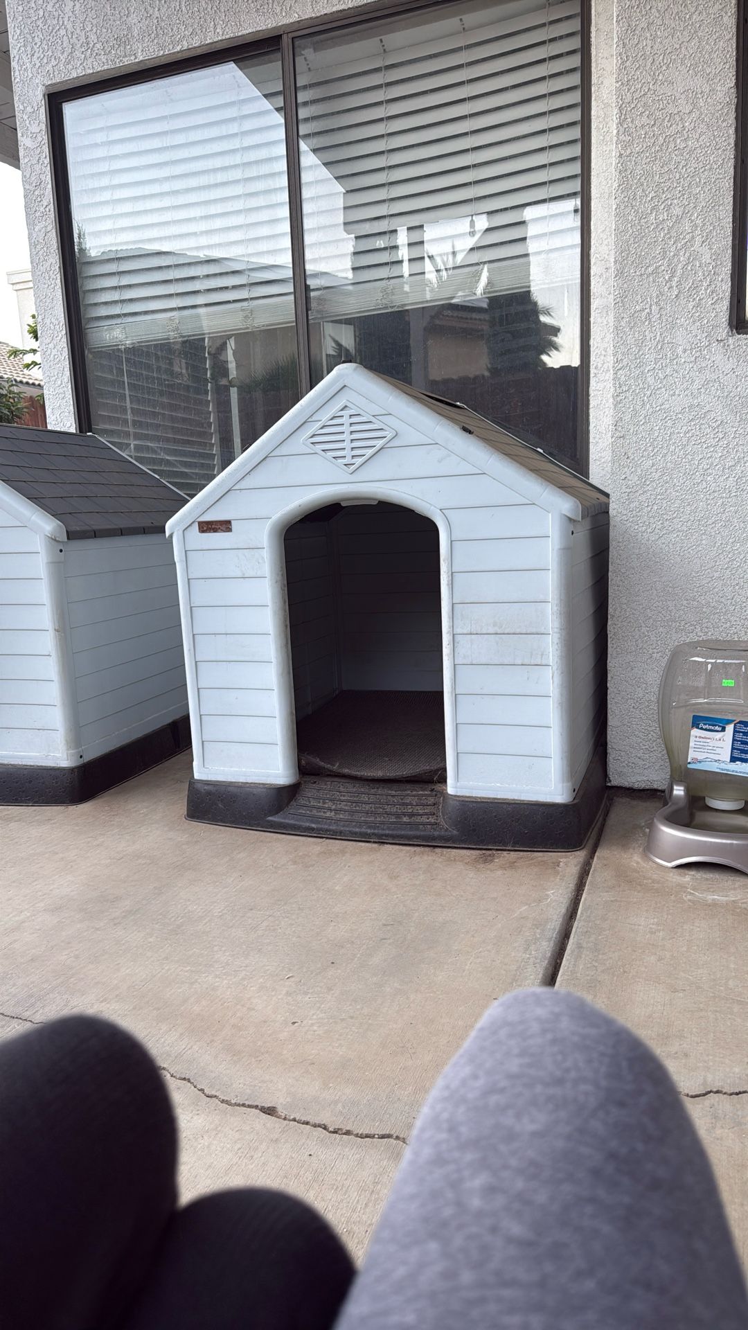 Dog House