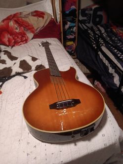 WASHBURN AB-20
