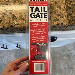 Tail Gate Assist