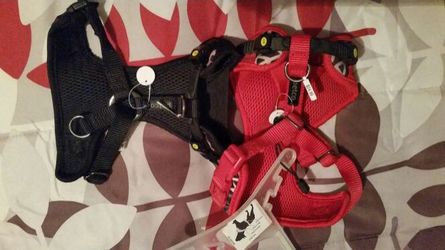 2 small dog harnesses