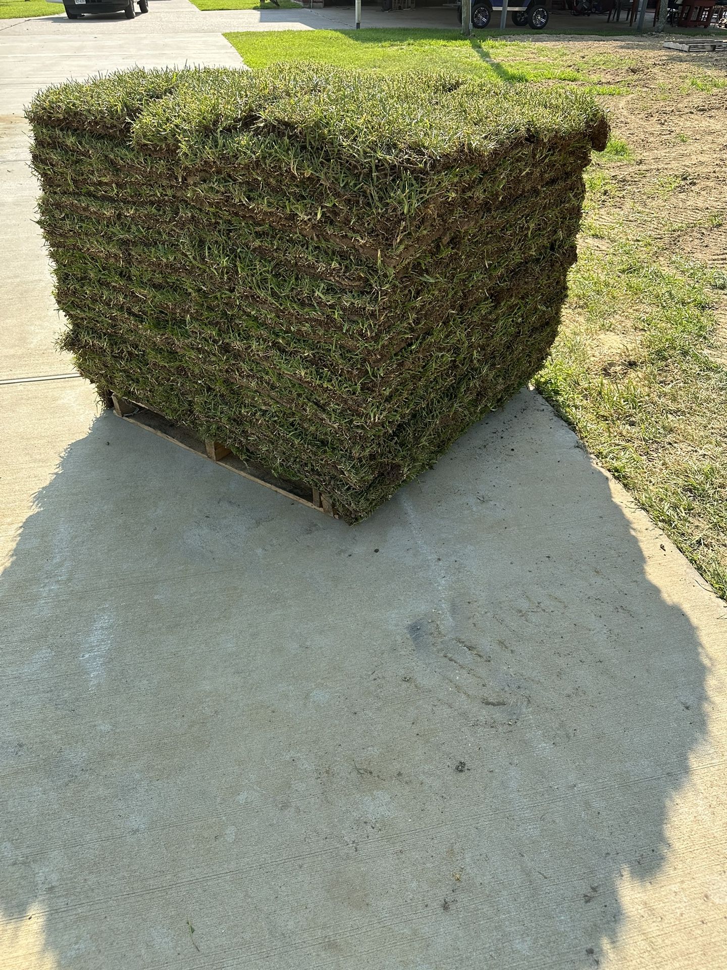 Grass Sod