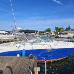 2001 Searay Amberjack 290