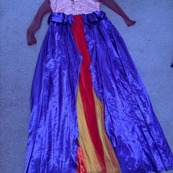 New xl princess dress costume gown Rennisance hocus pocus Victorian Bridgerton