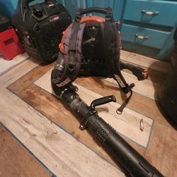 Echo Backpack Blower