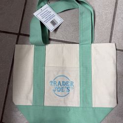 NWT Trader Joe's Mini CANVAS Tote Bag in GREEN MINT PASTEL 