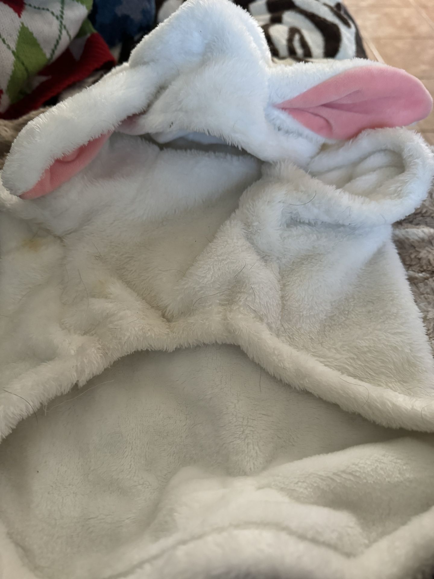 Dog Coats