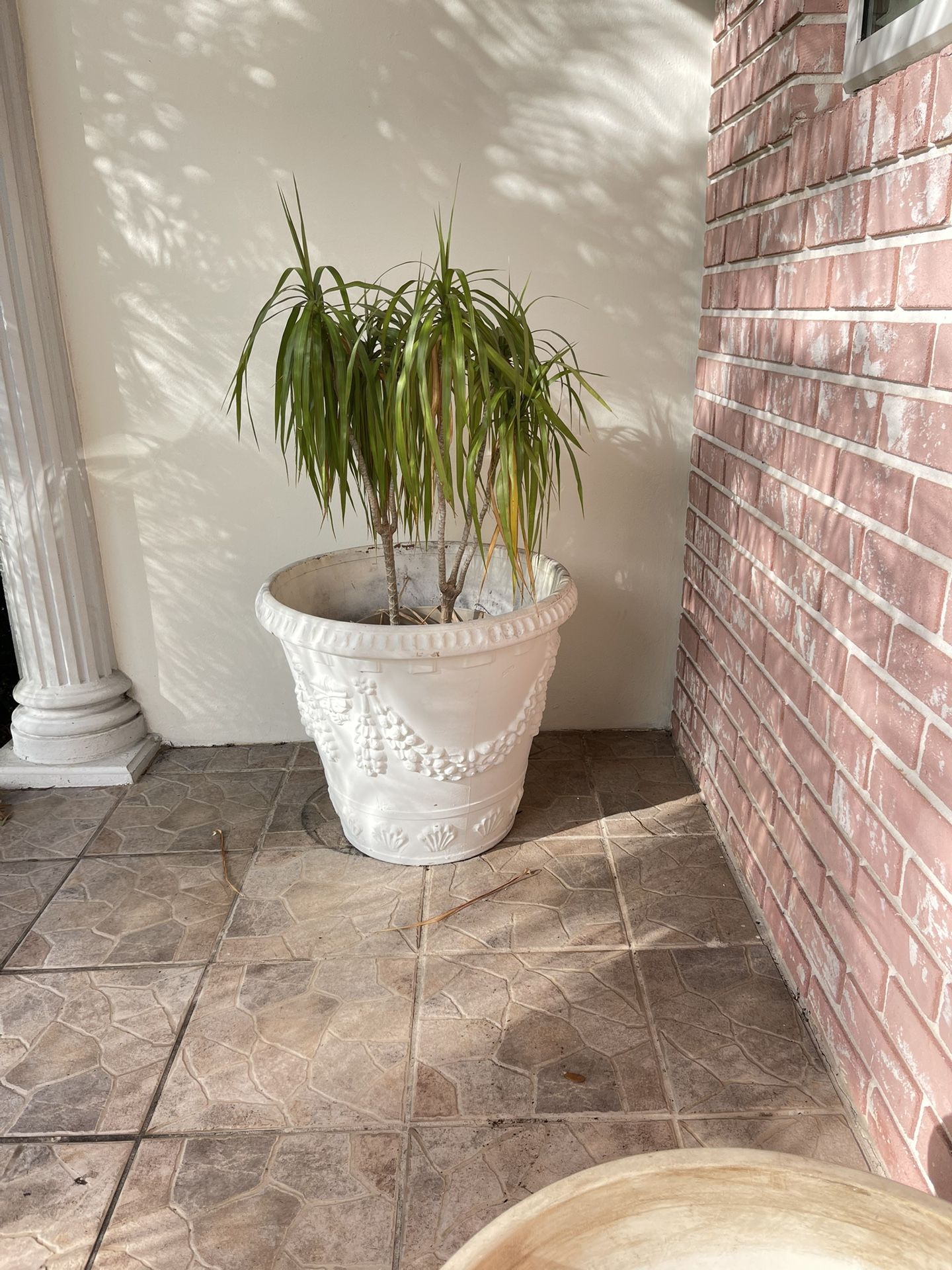 Extra Large Terracotta Pot , Great For Palm Trees Or Flowers ! Jardinera En Venda !