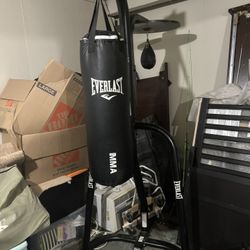 Everlast Punching Bag Plus Stand