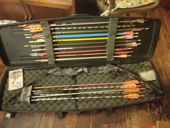 Bow and arrows with hard case