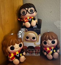 Hyojo Harry Potter