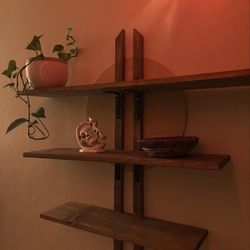 Shelves 