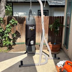 Punching Bag & Stand