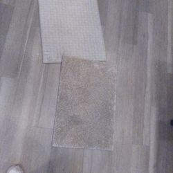 Carpet Sample Pieces 3 Ft To 2 1/2 Ft Long 