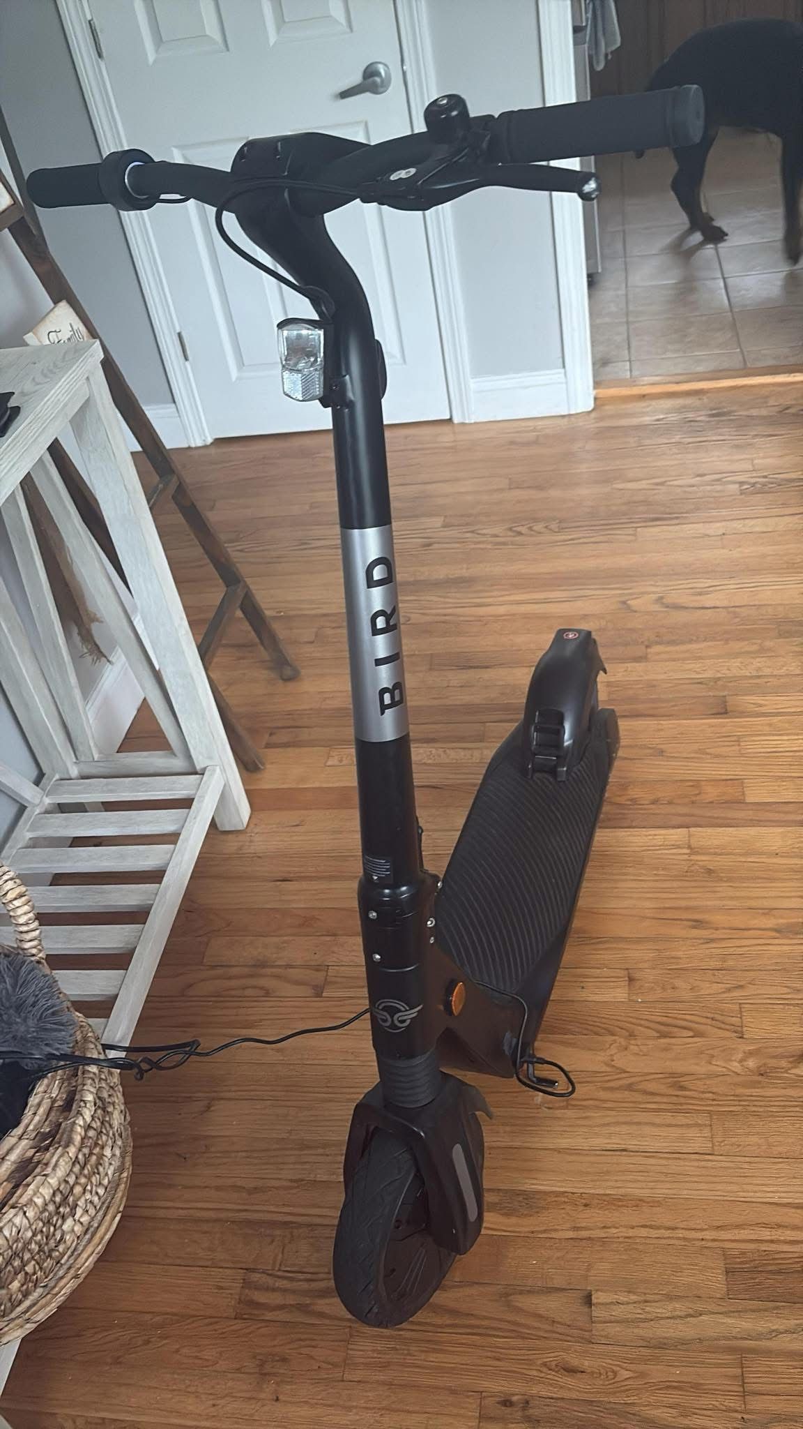Bird Flex Scooter Built For Performance