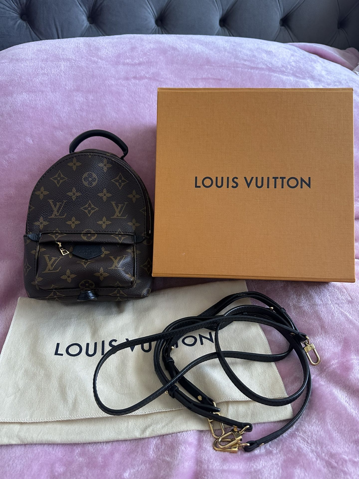 Louis Vuitton Palm Springs Mini Backpack