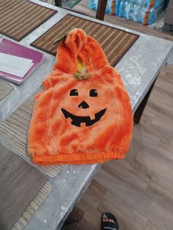 Toddler Pumpkin Size 12 To 18 Months