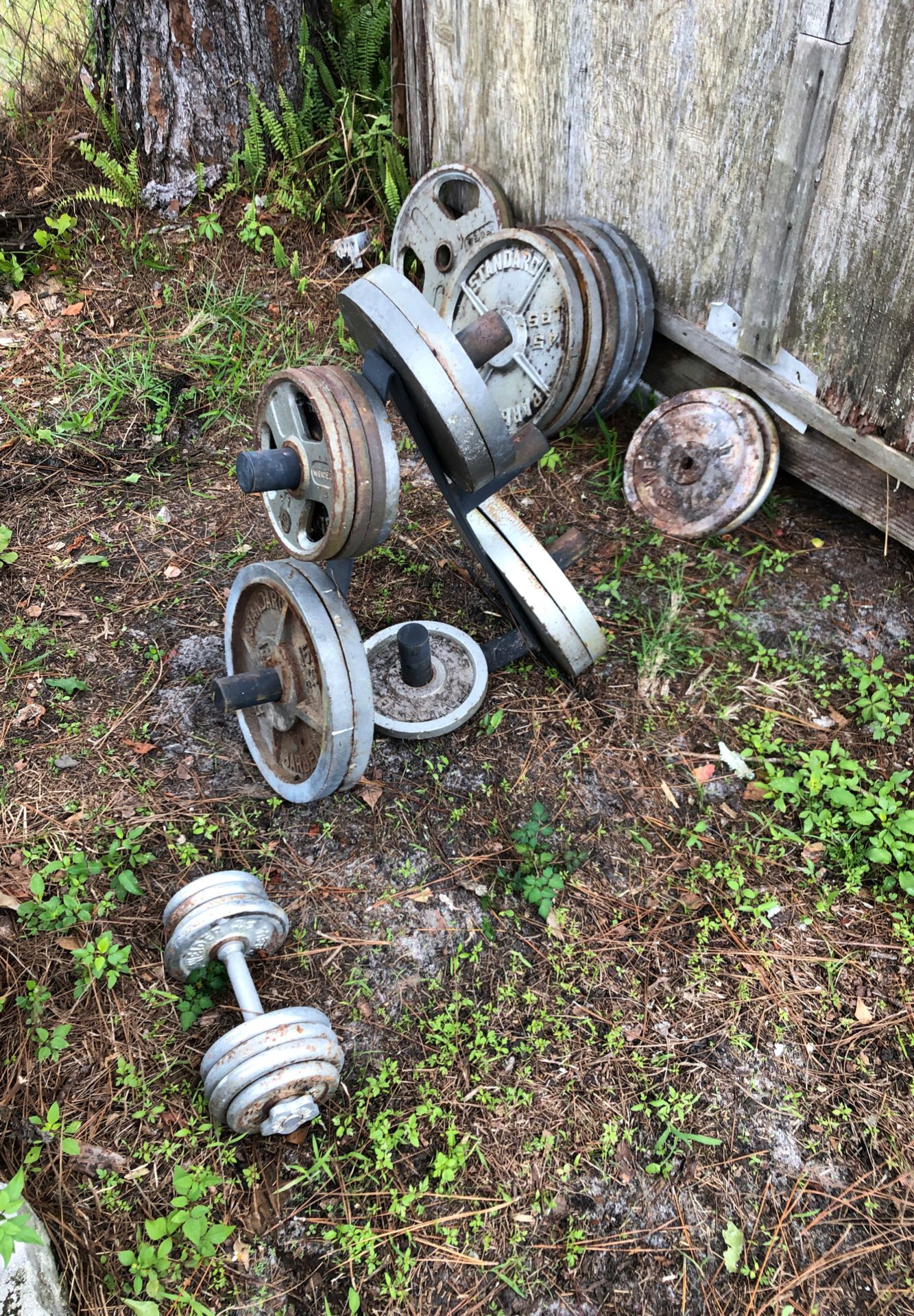 Olympic style free weights for sale