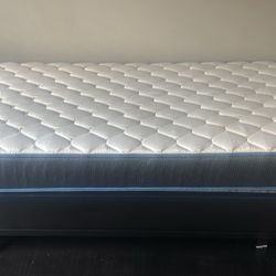 Twin Bed Box Spring And Rails