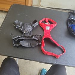 Small Dog Harness