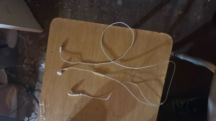 Apple Lightning EarPods – Works Perfect – Meetup Only