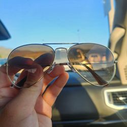 Raybands Sunglasses 