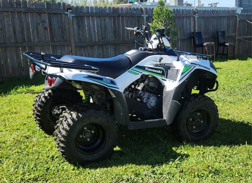 2016 Kawasaki Brute force 300