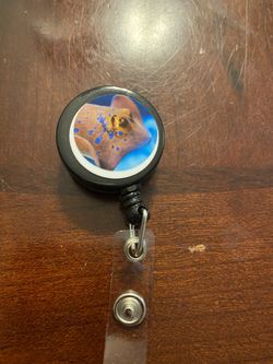 Stingray badge reel