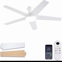 48 inch Low Profile Ceiling Fan with Light and Remote Control, Interchangeable Blades