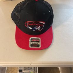 Thunder Birds Snap Back 
