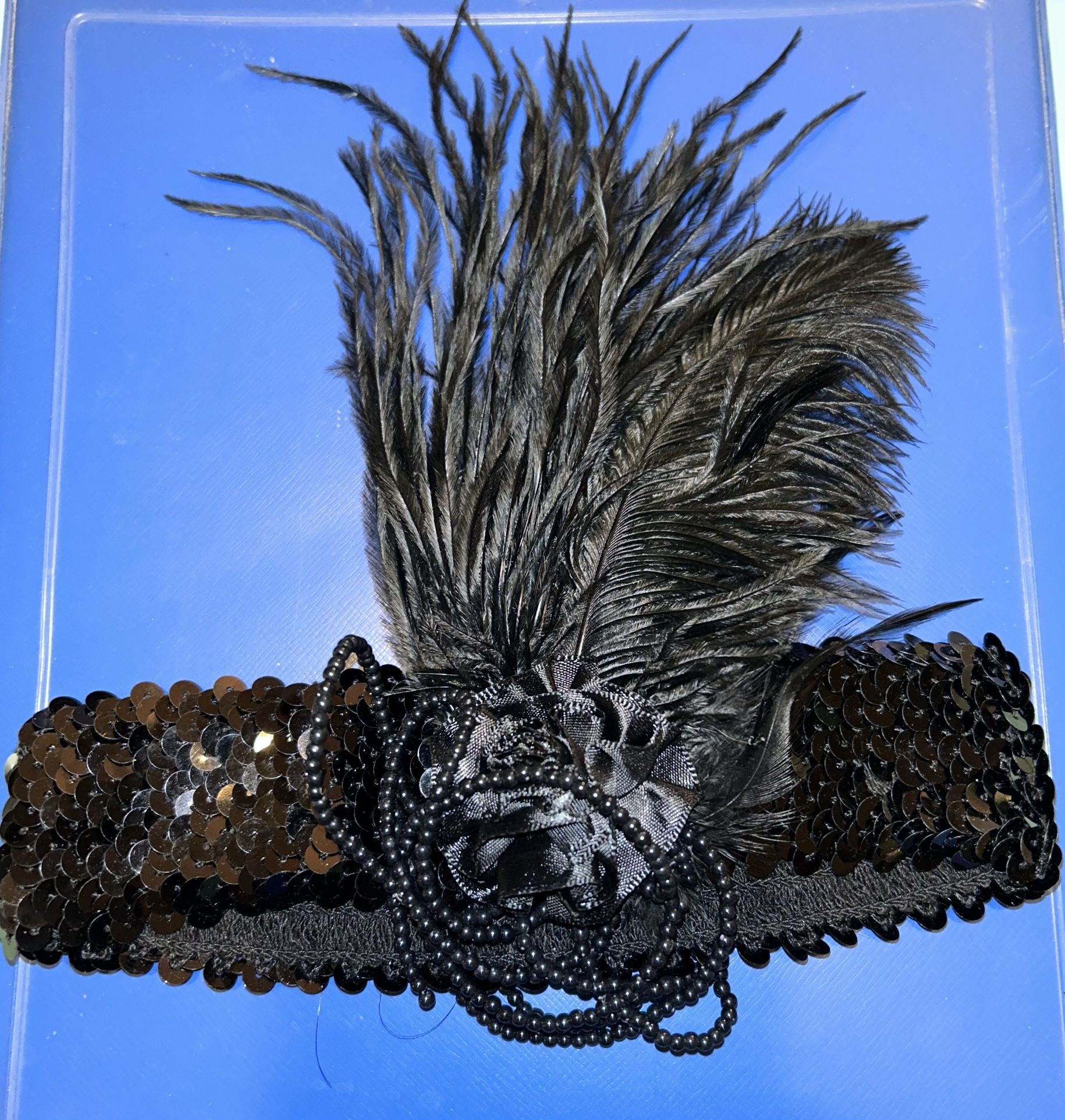 Flapper Headband & Deluxe Boa