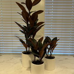 Faux Potted Rubber Tree Plant 