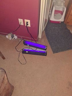 2x black lights for wall mounting