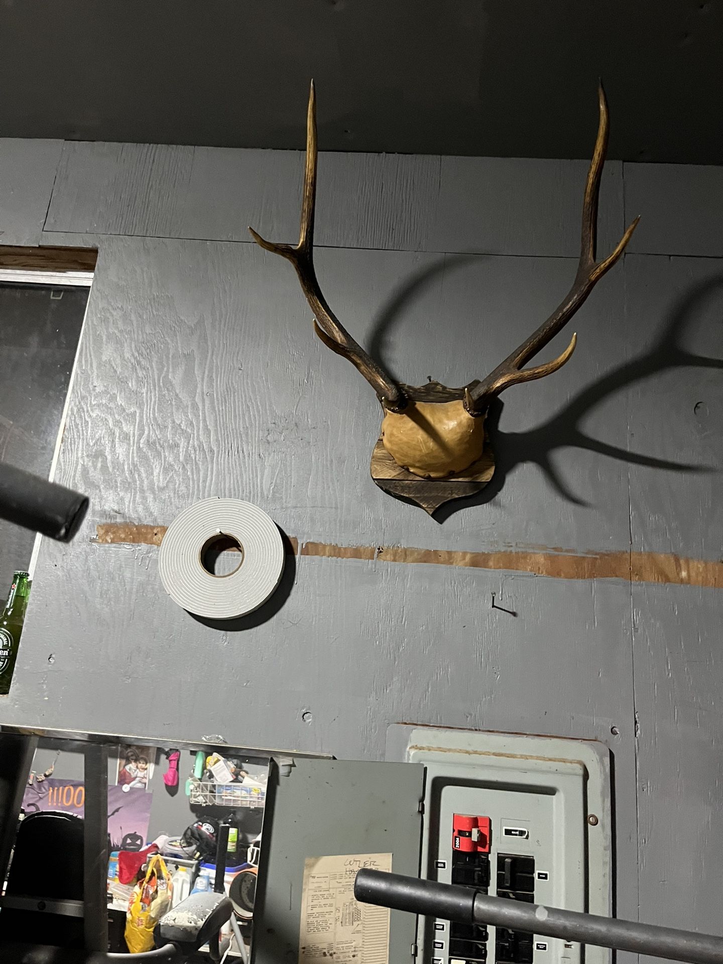 Elk Horns for Sale in Grays Harbor County, WA OfferUp