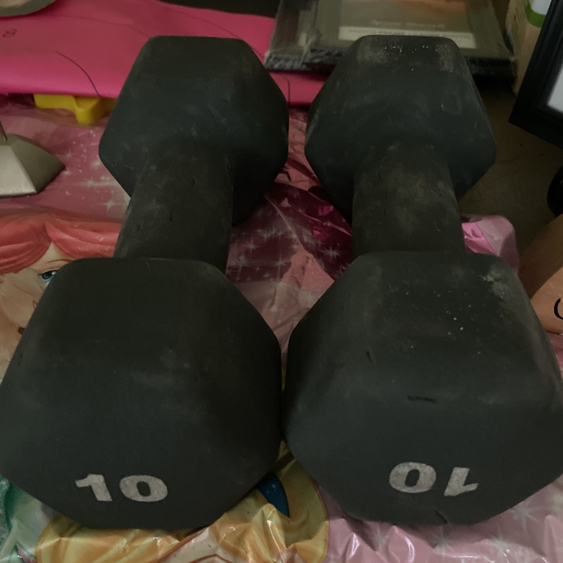 10 Lb Dumbbells