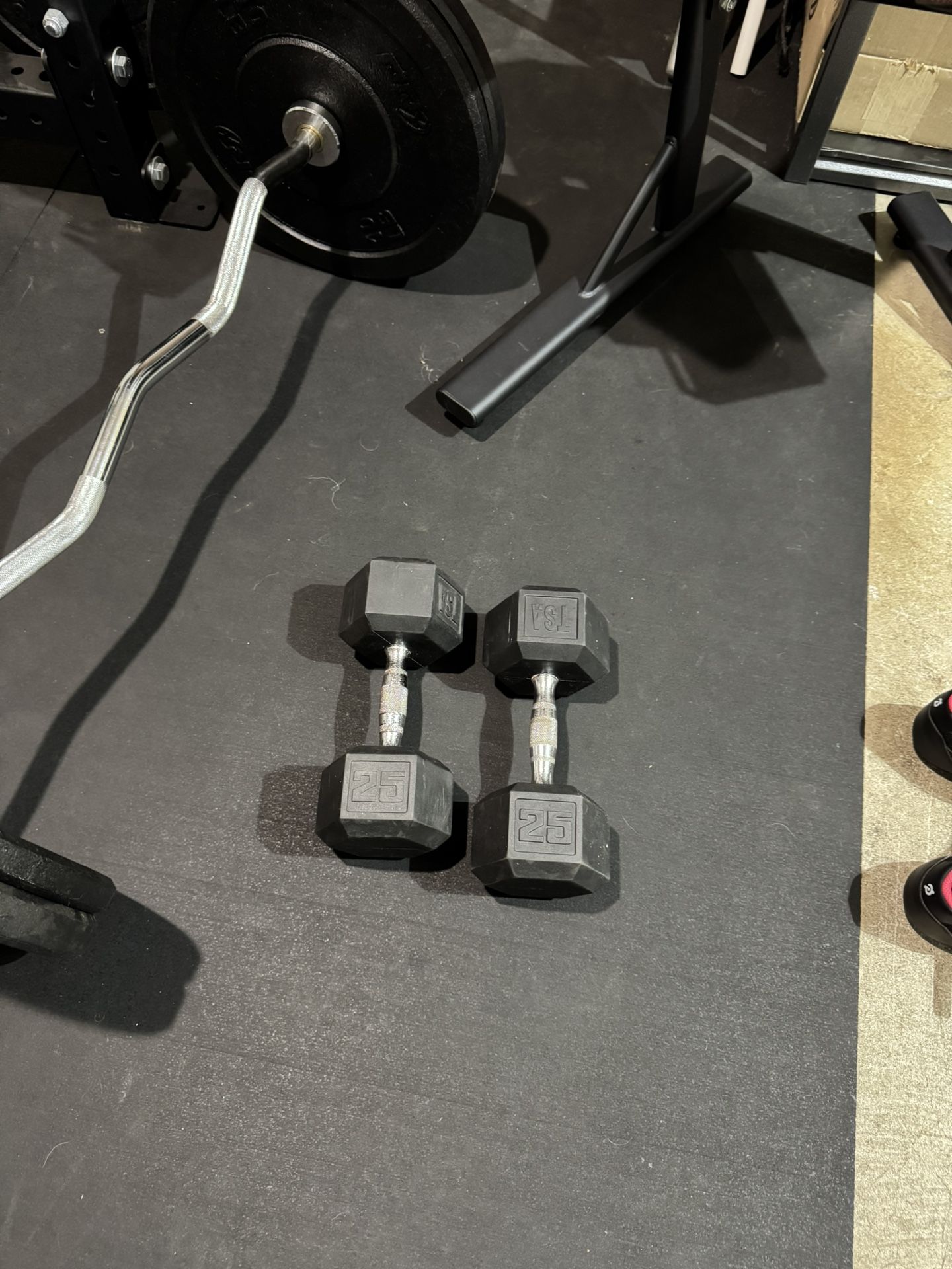 25lb Dumbbells