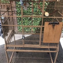 Bird Cage