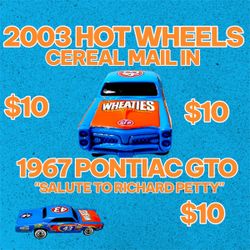 Hot wheels “Salute  to Petty”