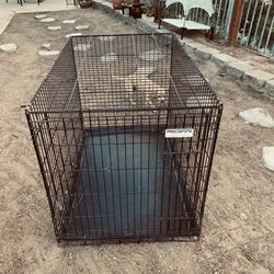 Precision Pet Products Large Dog Black Wire Crate Collapse Training Removable Pan Double Lock
