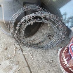 Barbed Wire