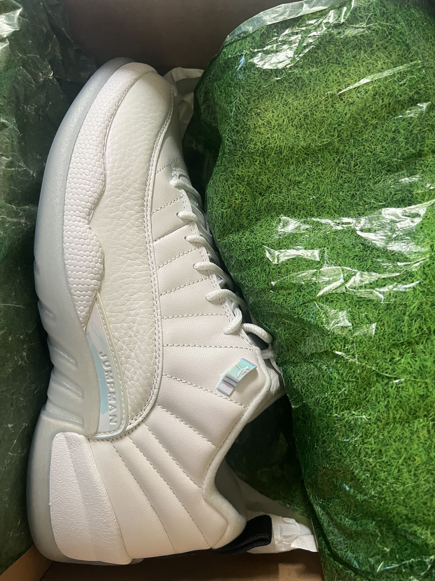 Air Jordan 12 Retro Low
