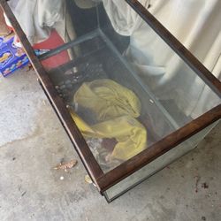 Reptile Aquarium Not For Water